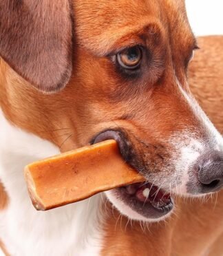 91AxhDuAsyL._AC_SX679_