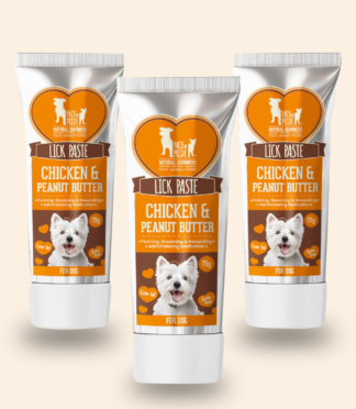 Yak Chews Pumpkin, Peanut Butter, Blueberry Medium Pack 3 - Himalayan Yak Chews for Dogs - Natural Dog Chew