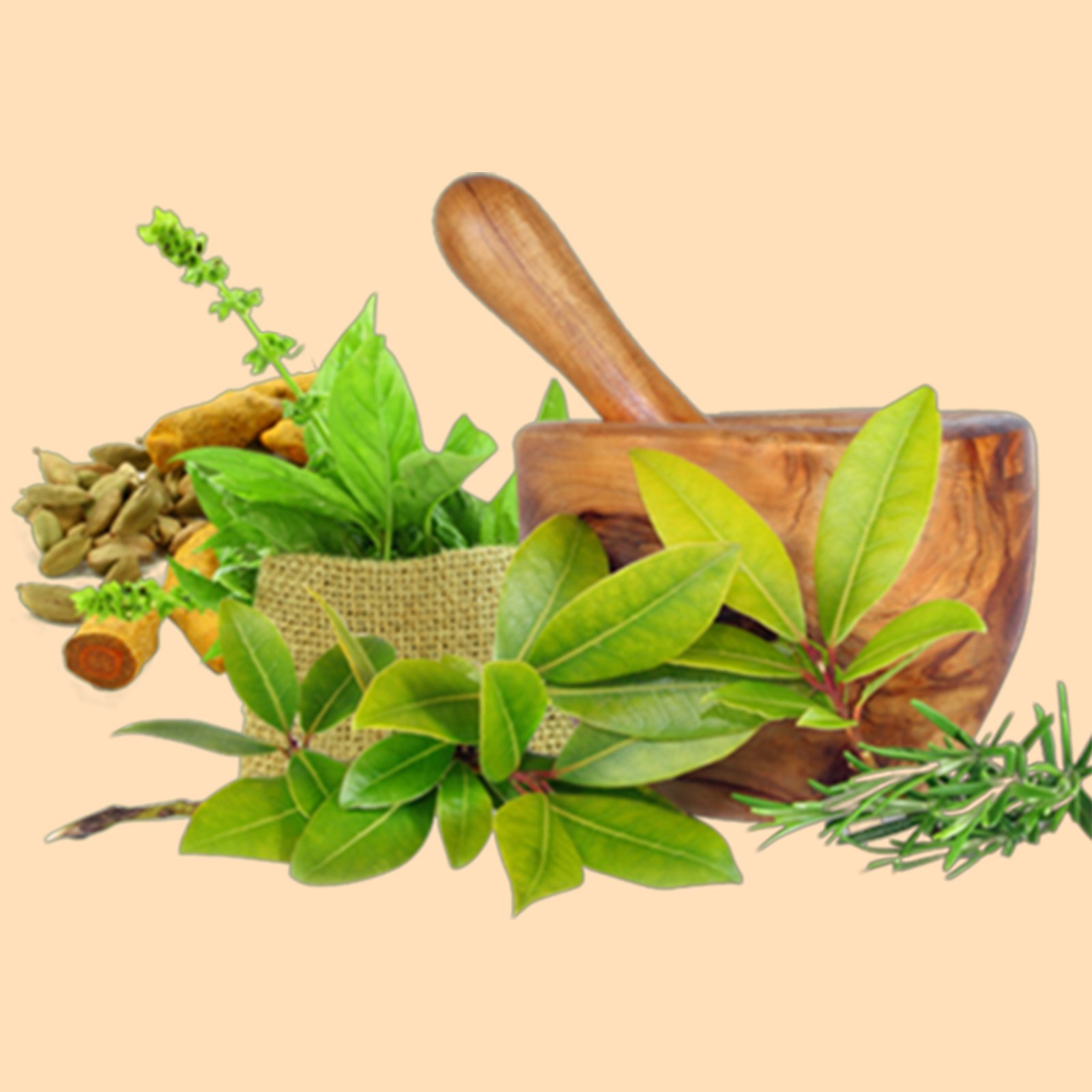 Health and Household