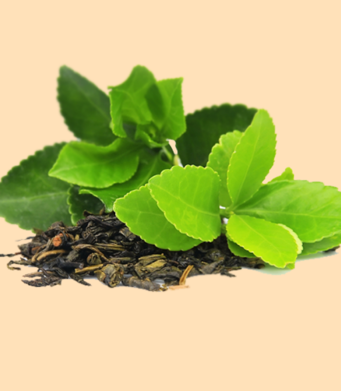 Green tea (1) Green tea (1)