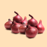 Onion